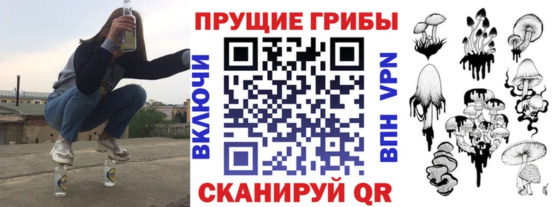 Купить закладки  Елабуга  Галлюциногенные грибы Cubensis 